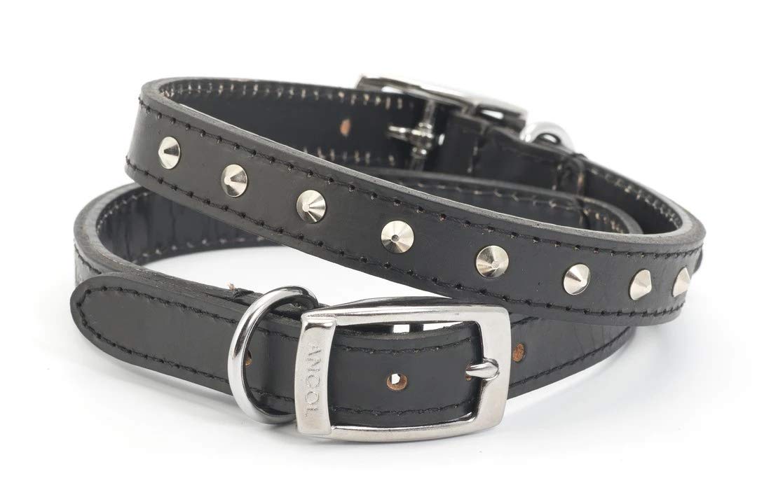 Ancol Leather Puppy Stud Collar - RED 16"/40cm