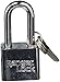 Ranger Lock RGSE-0L Super Extended Lock Guard with 2-Inch Hardened Steel Lock