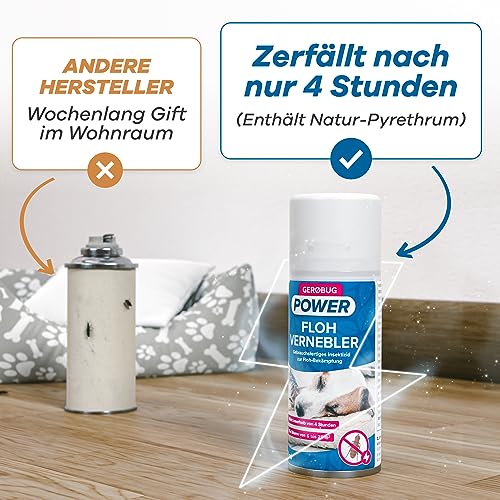 Flöhe im Bett? Wie man sie effektiv beseitigt und in Zukunft fernhält