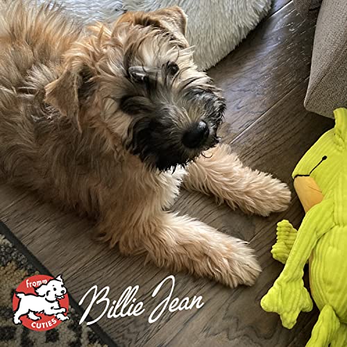 Fromm Puppy Gold Trockenfutter für Hunde – Ansicht 5