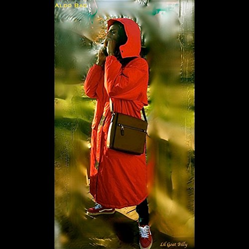 Aldo bags Shopping Online In Pakistan