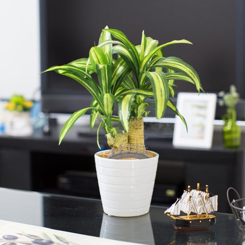 Miniatura 6 de Gadpiparty Puente de jardín, 2 piezas, modelo de puente de arco de madera en miniatura, mini adornos de jardín, decoración de micro paisaje,