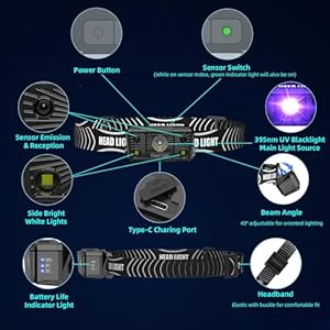   COSOOS-2IN1-UV-Headlamp-Flashlight-Black-Light-Rechargeable-LED-Hand-Free-Blacklight-395nm-Mini-Headlight-with-White-Ultraviolet-Light-Detector-for-Pet-Dog-Cat-Urine-StainBed-BugScorpions-Finder