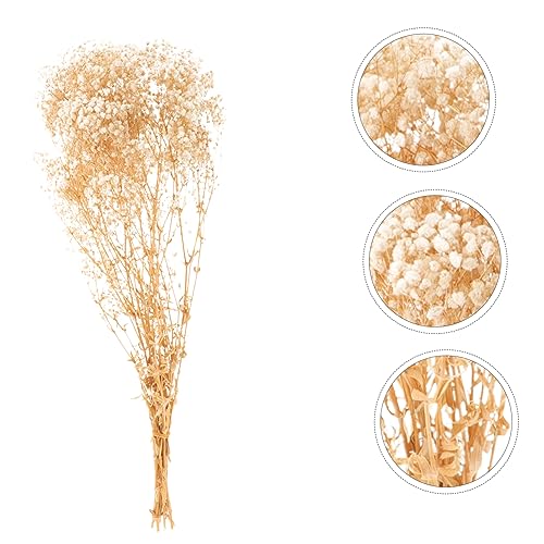 Ramo de flor seca Gypsophila Alipis para decoración miniatura 6