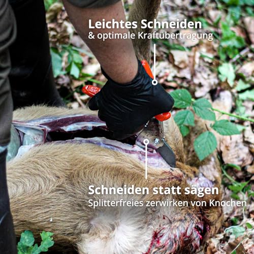 Original LÖWE Jagdschere 1.117 - Schneiden statt Sägen - Robuste Amboss-Schere zum Aufbrechen & Zerwirken von Fleisch und Knochen - ideal für Jäger und Förster