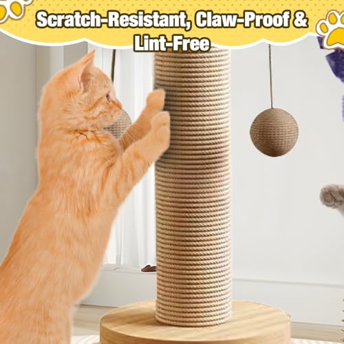 Arbre à chat et griffoir pour chat d'intérieur multifonction robuste en bois - 5