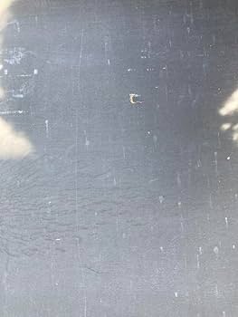 Amazon.co.jp: 月星靴 木製フレーム 黒板 レトロ アンティーク