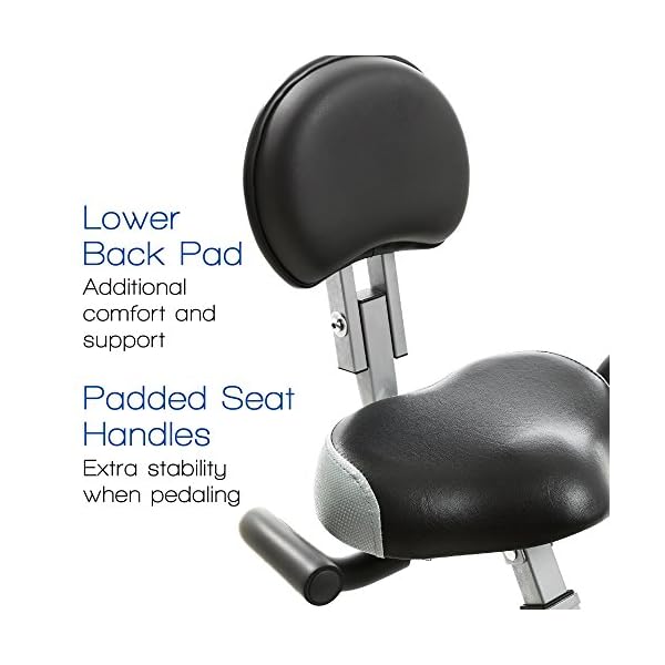 XTERRA-Fitness-FB350-Folding-Exercise-Bike-Silver XTERRA Fitness FB350 Folding Exercise Bike