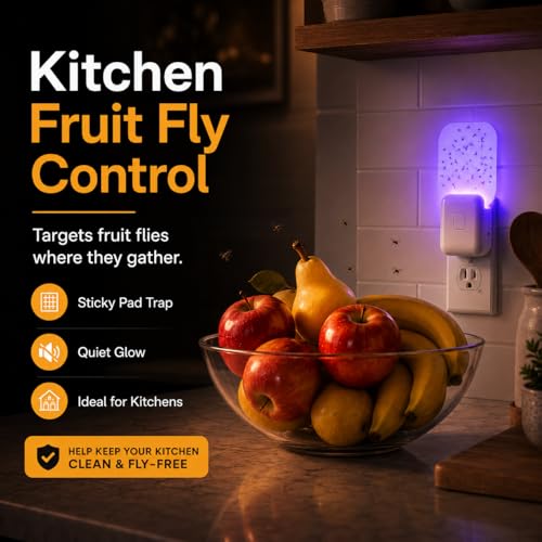 Image of Fruit Fly Traps for Indoors Cozlite: Upgraded Flying Insect Trap with 3 Refills - Bug Catcher for Gnat Mosquito Moths - Suitable for House Home Kitchen