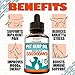 Natural Hemp Oil for Dogs & Cats - 70 000MG - Premium Hemp Extract - Anxiety Relief for Dogs - Grown & Made in USA - Omega 3, 6 & 9 - Supports Hip & Joint
