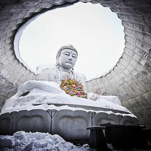 Divine Abidings: Loving Kindness Podcast Por  arte de portada