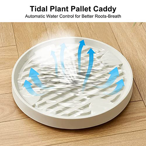 Fragraty Plant Caddy With Wheels, 12In Plant Stand With Wheels, Rolling Planter Caddy With 4 Hidden Invisible Wheels, 360° Rolling Heavy Duty Plant Roller Base With Casters, Beige, 2 Pack #TOP4
