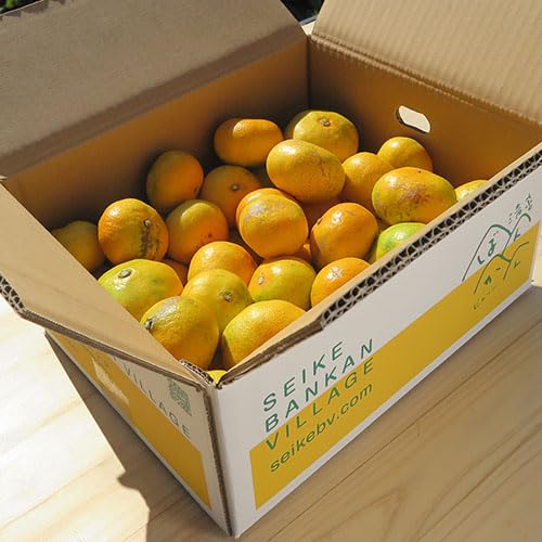 【愛媛県産】極早生 小玉みかん5kg みため×おいしさ◯ 清家ばんかんビレッジのサムネイル