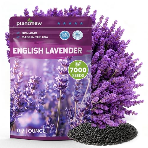 PLANTMEW Lavender Seeds for Planting, English Lavender...