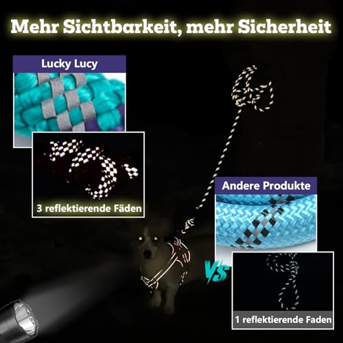 LUCKY LUCY Hundeleine 3m, für mittel & große Hunde (bis 80kg), reflektierend, mit starkem Aluminium sicherheitskarabiner, schöner Fuchsia
