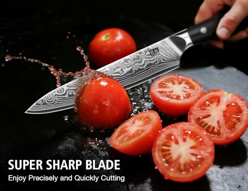 Image of SHAN ZU Damascus Chef Knife, Utility Knife 6 Inch Japanese Steel Damascus Kitchen Knife, 67 Layers Professional High Carbon Super Steel Kitchen Knives with Ergonomic G10 Handle