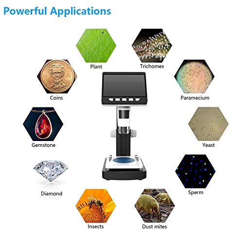 LCD Digital Microscope, YINAMA 4.3 Inch 50X-1000X Magnification 1080P Compound Handheld Microscopes Camera with Rechargeable Battery Mini Hdmi Port 8 LED Lights 8G SD Card and Slides - Thumbnail 3