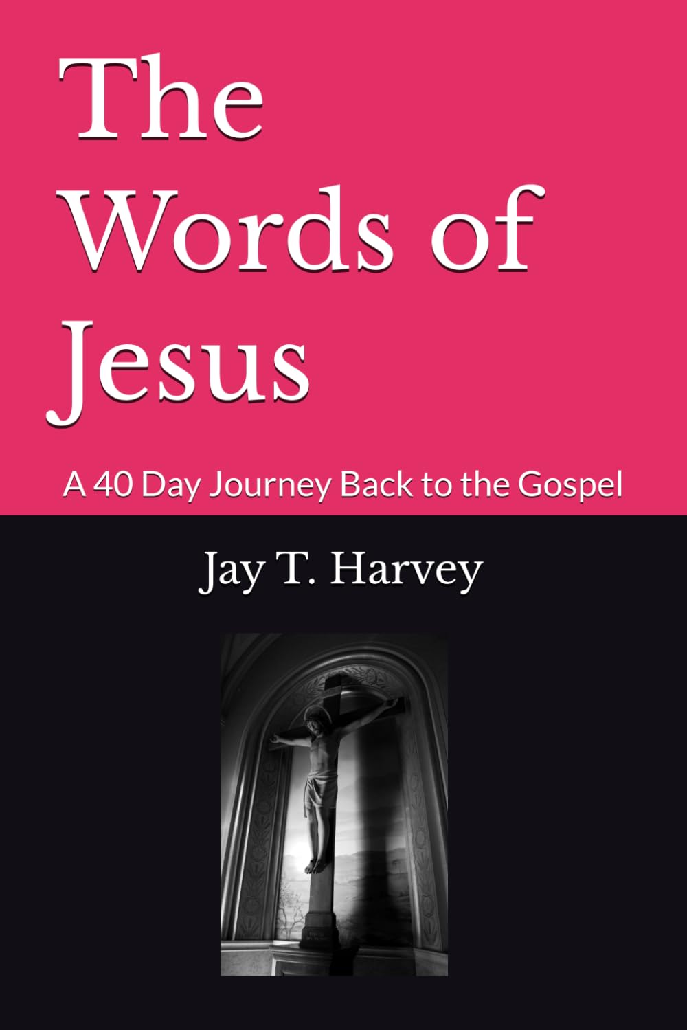 The Words of Jesus: A 40 Day Journey Back to the Gospel