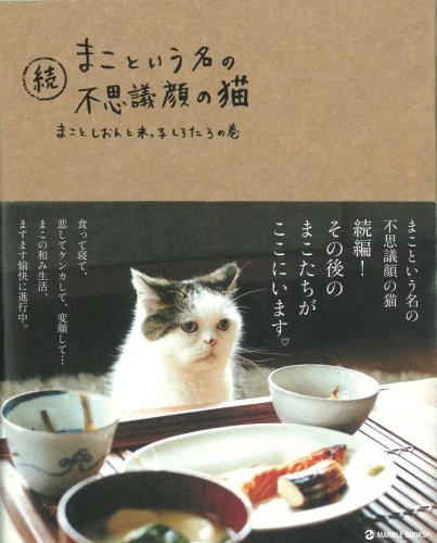 ねこ【プロフ必読】【返信遅れます】 　no2 続 まこという名の不思議顔の猫 (マーブルブックス) | 前田 敬子, 岡