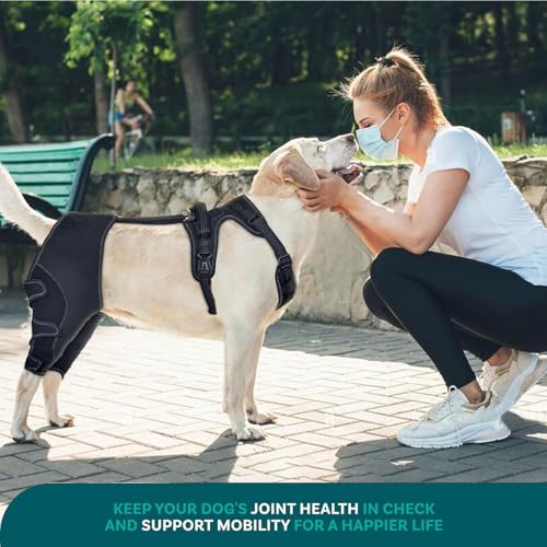 Image of Adjustable Dog Knee Brace with Leash, Hind Leg Support for Joint Pain, ACL Injury Recovery, Anti-Lick Wrap Harness Set