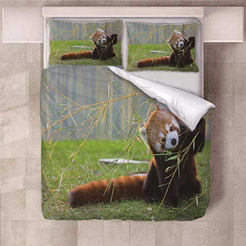 Seide Kissenbezug Ikea • Top 5 Produkte verglichen