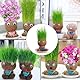 Graskopf Set, Mini Bonsai Gras Kopf Figure Puppen Schön Graskopf Stile Blumentopf Kopf Mit Einer Kleinen Sprühflasche für Desktop Zimmer Home Decorations (Grünes Gras)