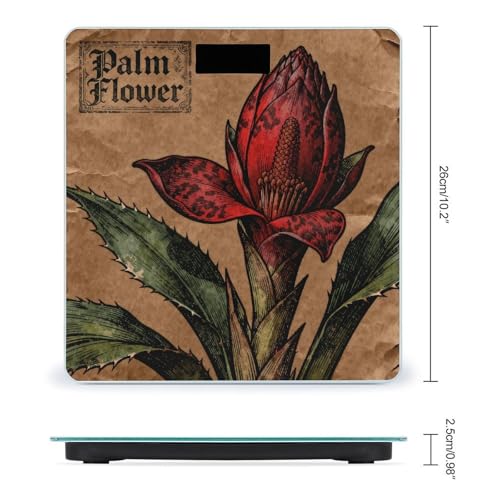 Báscula digital de baño con plataforma de vidrio templado miniatura 2