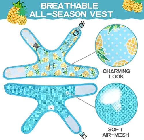 BINGPET Cat Harness - with Leash Included - Mesh Cat Dog Walking Harness Adjustable Harness for Kitties Puppy Harness Adjustable Cat Vest Harness Pineapple