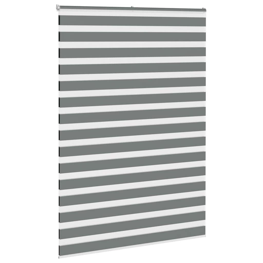 Store Zebre Gris Fonce Polyester 155,9 cm