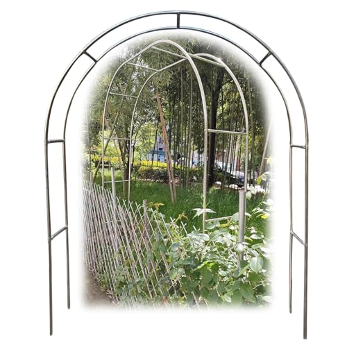 Arche pour plantes grimpantes et arbres fruitiers en acier robuste