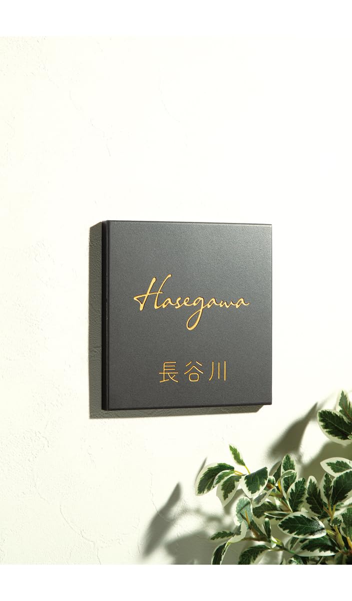 Amazon.co.jp: 戸建 表札 タイル Monoto モノト セラミックタイル NMNT