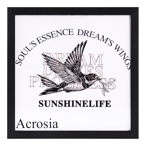 Acrosia 13'X13' T-Shirt Frame for Wall Or Tabletop...