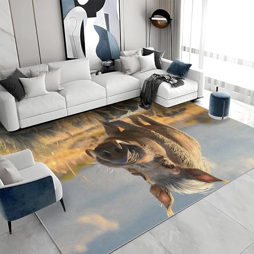 Alfombras Infantiles Niño Animales Selva Marca buyluhn