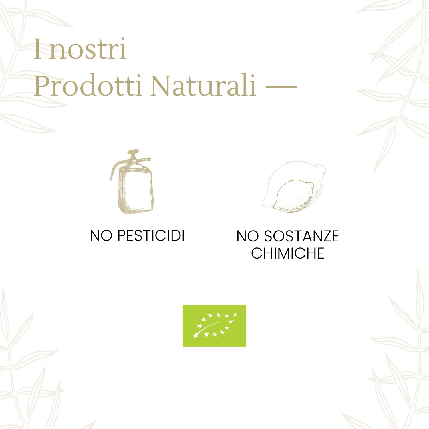 Arance 100% Siciliane e 100% Biologiche - Massima Freschezza e Sostenibilità, Arance Raccolte Direttamente dai Nostri Alberi - BIO 7 kg - - CERTIFICATE BIOLOGICHE, QUESTO FA LA DIFFERENZA!