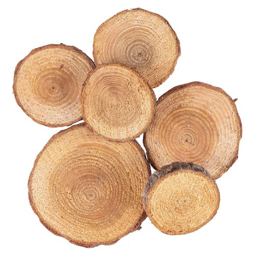 Ideen mit Herz Deko-Baumscheiben | verschiedene Größen | 36g | Ø...