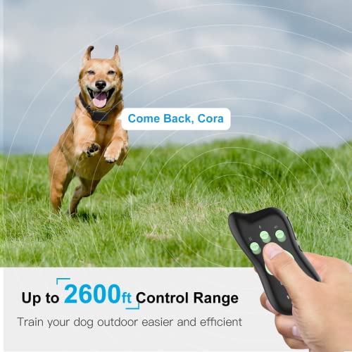 Dog Bark Collar - Dr.trainer Dog Training Collar With Remote 2600Ft For All Breed Dogs, Dog Shock Collar With Custom Sound & App Setting, Automatic Bark Stop And Remote Control Combo Collar #TOP4