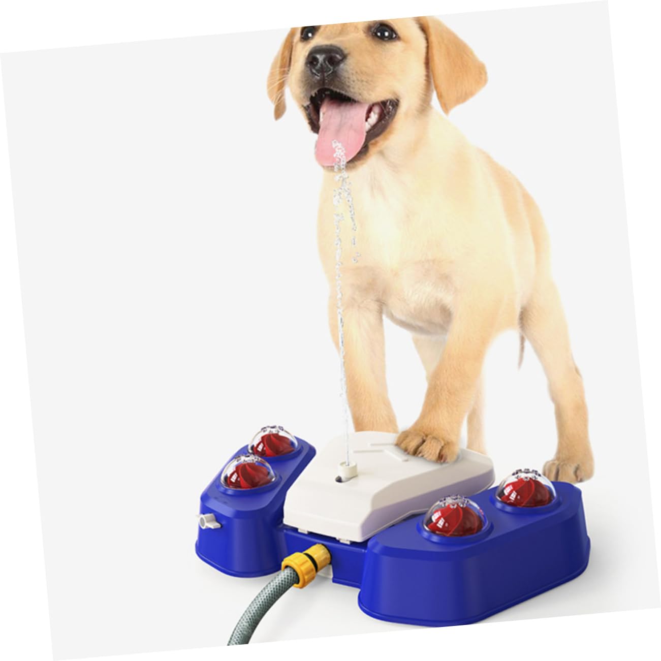 Multifunktionales Hundebadespielzeug mit Wassersprinkler aus Abs, Blau