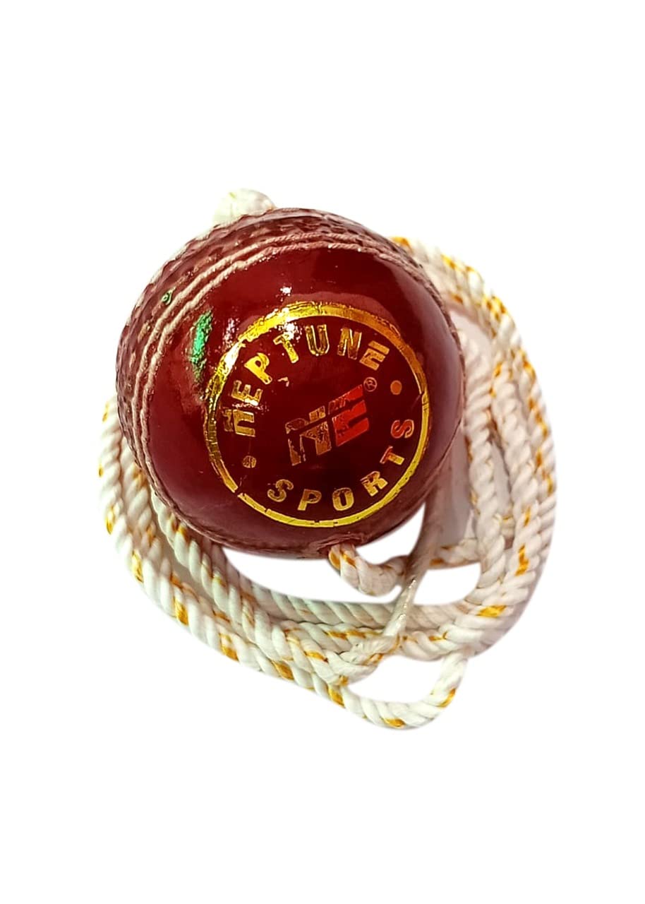 Buy NE NEPTUNE Leather Cricket Practice Hanging Ball, Silk String