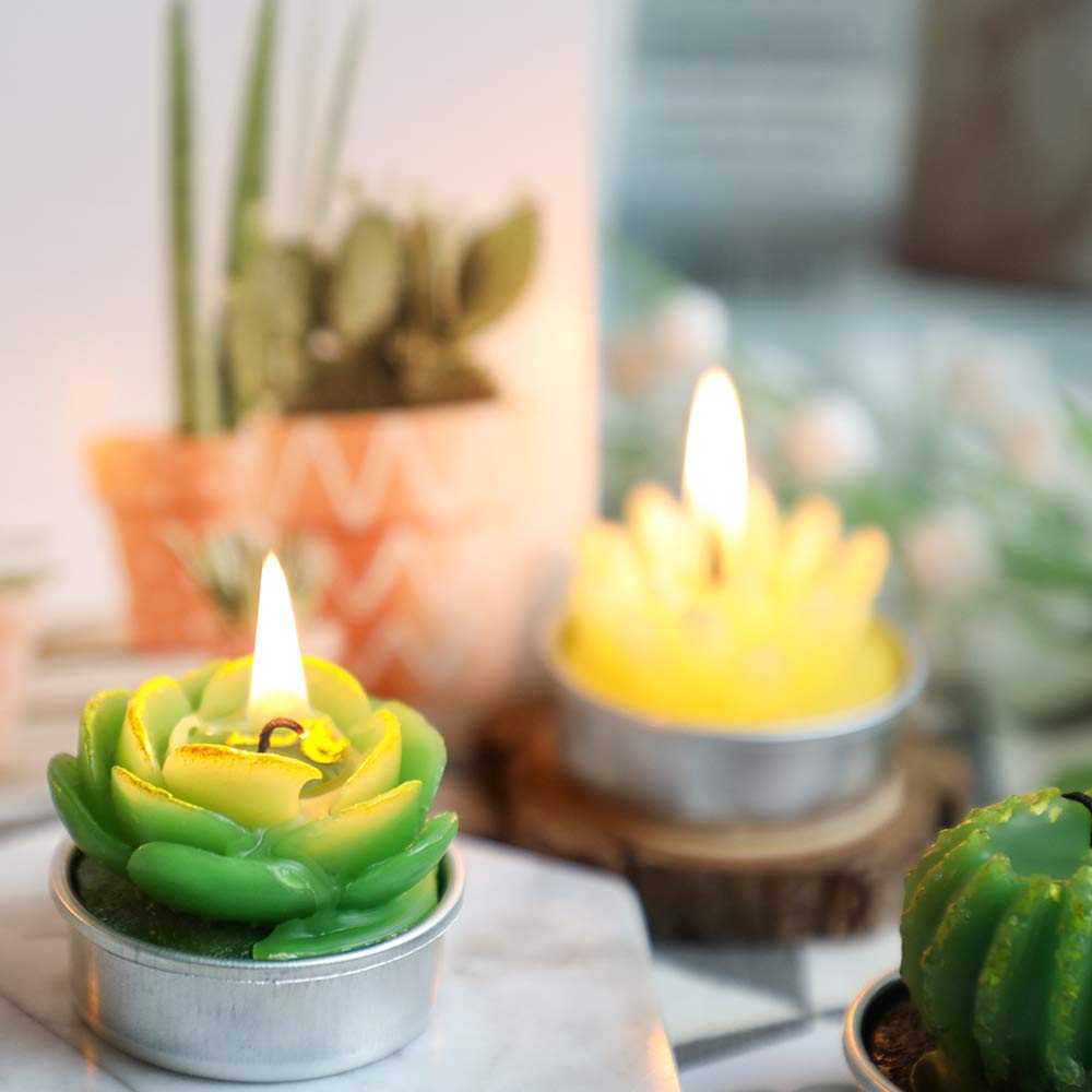 Juego de Velas de té de Cactus, Hechas a Mano, delicadas Velas de Cactus suculentas, Plantas suculentas Artificiales para Fiestas, Festivales, cumpleaños, decoración del hogar (24 Piezas)