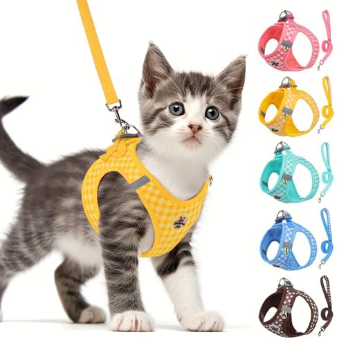 Paipeper Lpn[lX [ht  S݌v EȂ ^p ʋC   `FbN U o y ʉ@ ЊQ i`FbNj CG[ M