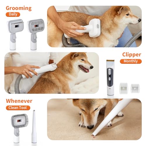 Dola DaDa Dog Grooming Kit, Dog Grooming Clippers, Pet Grooming Vacuum with 6 Pet Grooming Tools for Shedding Pet Hair, 11000Pa Suction, 2L Capacity, Low Noise Pet Hair Vacuum Groomer for Dogs Cats Home Cleaning - Image 3