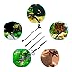 capetsma Aquascape Tools Pinzette Schere Spachtel, 5 in 1 Aquascape Tool