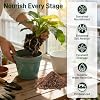 29QT Potting Soil Mix for Indoor Plants - Contains Perlite, Peat Moss, Coco Coir & Rice Charcoal, Natural & Organic Material with Well-Draining, Light & Aerated Texture for Healthy Roots & Fast Growth