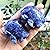 Fekuar Hand Carved Sodalite Fish Figurine, Healing Crystal Animal Statue Pocket Stone Reiki Home Decoration Fengshui Sculpture 2 Inches