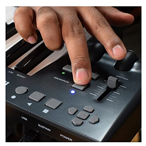 Image of Vault Ikon MK2 49 Key Velocity Sensitive Midi Keyboard with Bitwig 8-Track Software