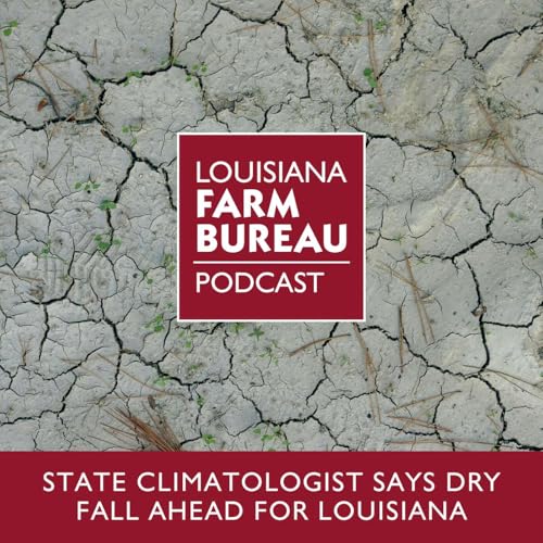 State Climatologist Says Dry Fall Ahead For Louisiana
