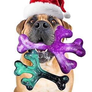 Frienhund Aggressive Chewers Dog Chew Toys...