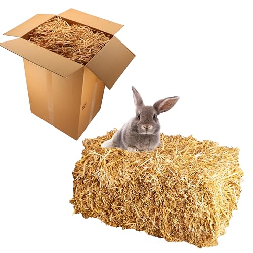 15 kg Bester Qualitäts Weizen Strohballen, trockenes frisches ungespritztes Stroh, aktuelle deutsche Ernte naturbelassen für Kaninchen Meerschweinchen Hasen Futter Deko, direkt vom Bauern
