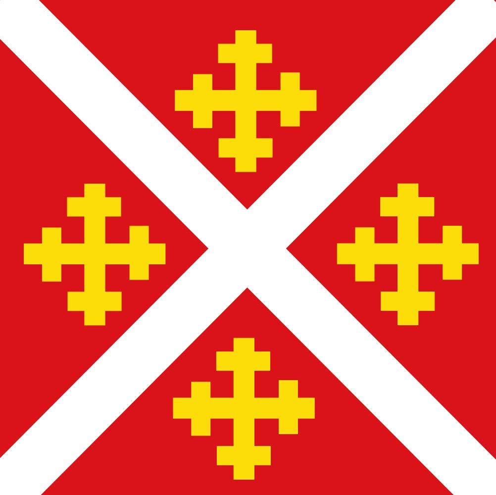 Grand drapeau Maasbracht 1966 pour décoration de salle et commémoration