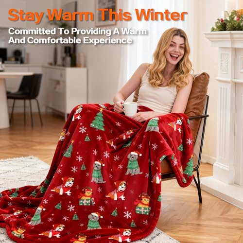 Image of Electric Blanket Heated Throw, Soft Flannel 50 inchx60 inch Plaid Heating Blanket with 8 Hours Auto Off 10 Fast Heating Levels Machine Washable Sherpa Heated Blanket with Overheating Protection